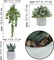 Set of 3 Mini Artificial Succulents in Gray Hexagon Ceramic Pots – Faux Small Potted Aloe, Hops & String of Pearls Plants for Modern Home, Office Desk, Kitchen & Shelf Decor